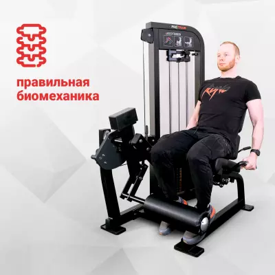 Биомеханика