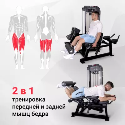 Биомеханика