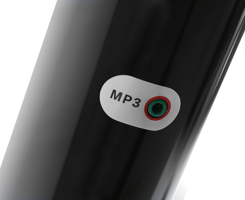 МУЛЬТИМЕДИЙНЫЙ ВХОД AUDIO IN (MP3)