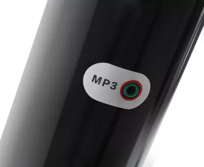 МУЛЬТИМЕДИЙНЫЙ ВХОД AUDIO IN (MP3)