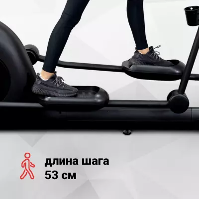 Биомеханика