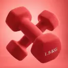Гантель неразборная гексагональная неопрен  1,5 кг (2 штуки) VictoryFit VF-DHN015-2