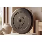 Диск 26 мм. пластиковый  10 кг VictoryFit VF-SPL26100