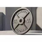 Диск 51 мм. чугунный окрашенный VF-SC512000 (20 кг)