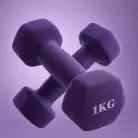 Гантель неразборная гексагональная неопрен  1 кг (2 штуки) VictoryFit VF-DHN010-2