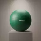 Гимнастический мяч, kernel, диаметр 65см BL003-2