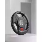 Диск 31 мм. обрезиненный с 3-мя хватами  1,25 кг (2 штуки)   VictoryFit VF-S250125-2