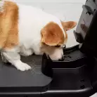 детальное изображение товара