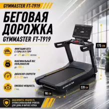 Беговая дорожка Gymmaster FT-T919