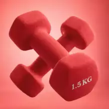 Гантель неразборная гексагональная неопрен  1,5 кг (2 штуки) VictoryFit VF-DHN015-2