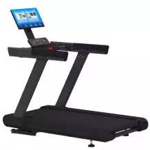 Беговая дорожка Gymmaster LZX-L20T