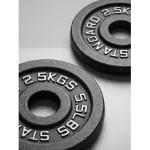 Диск 51 мм. чугунный окрашенный  2,5 кг (2 штуки)   VictoryFit VF-SC510250-2